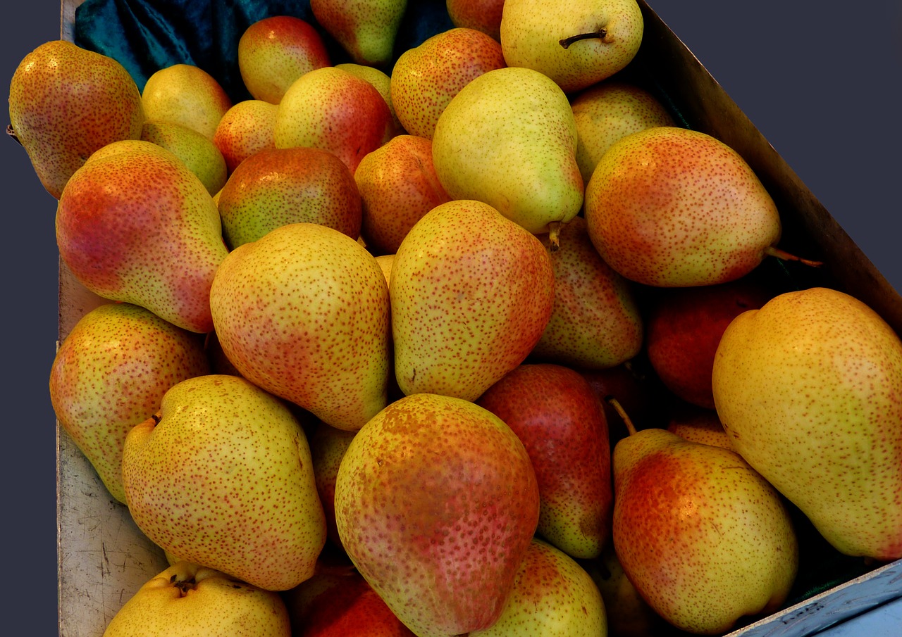 pears fruit vitamins free photo