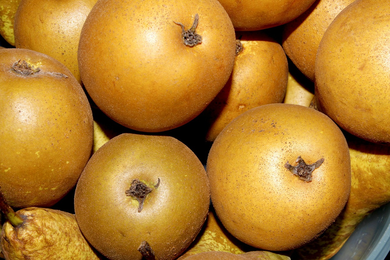 pears fruit pear free photo