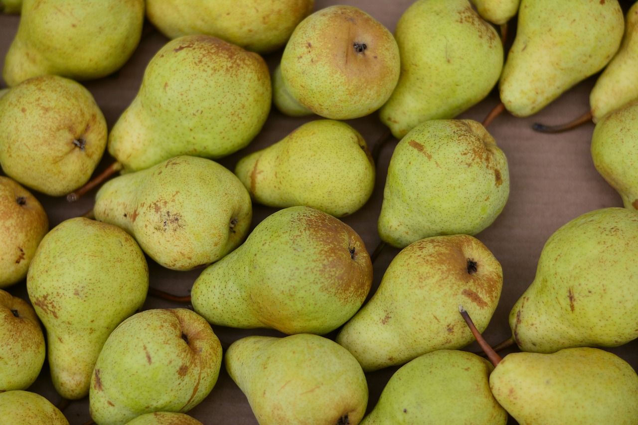 pears fruit fruits free photo