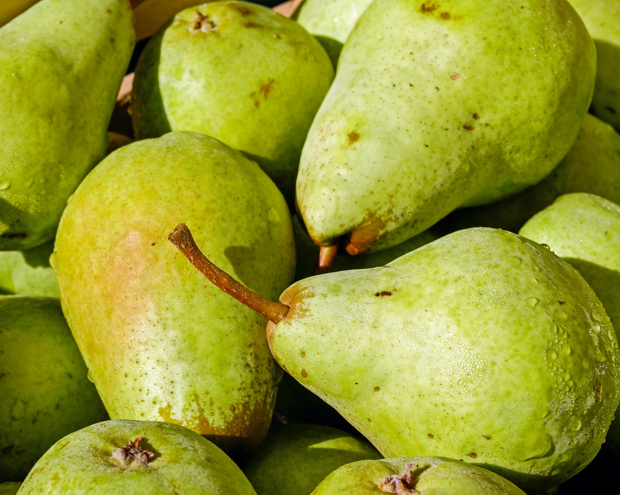 pears fruit bio free photo