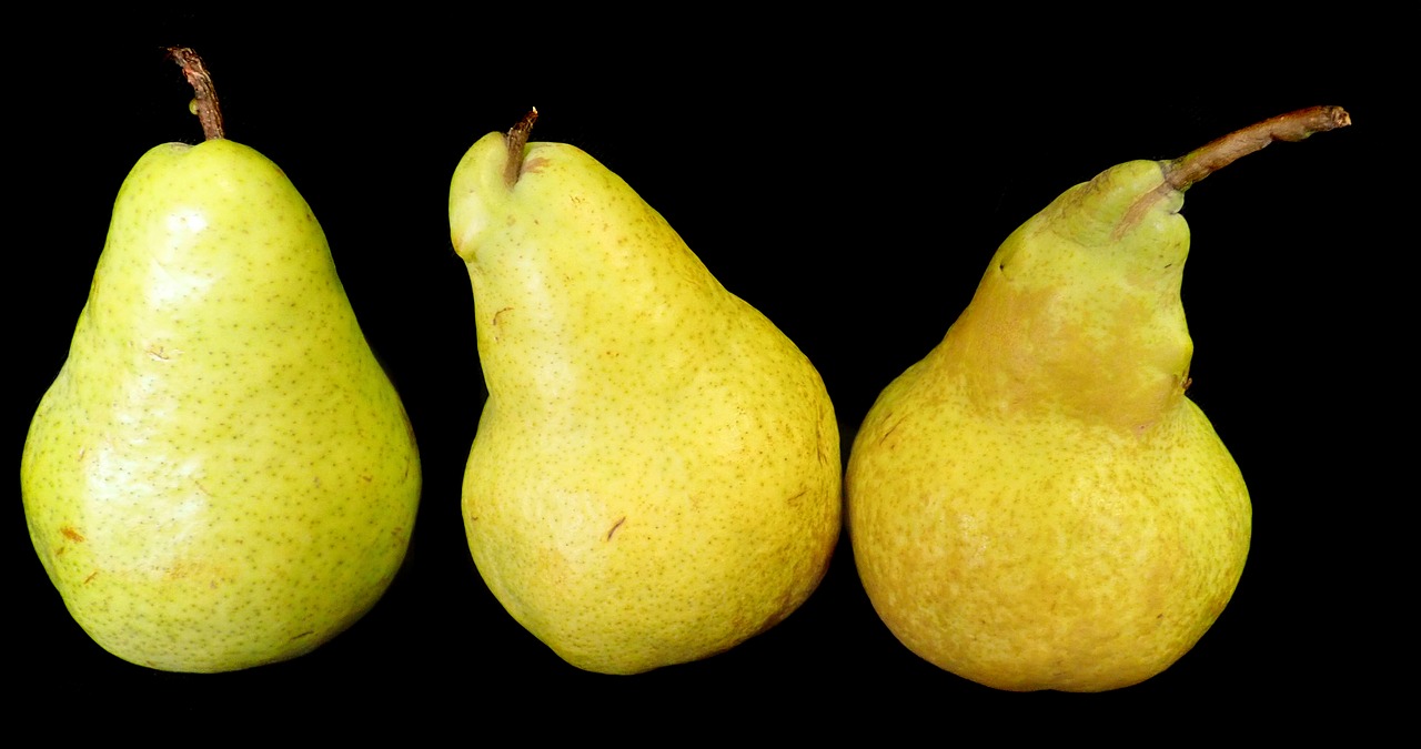 pears  ripe  fruit free photo