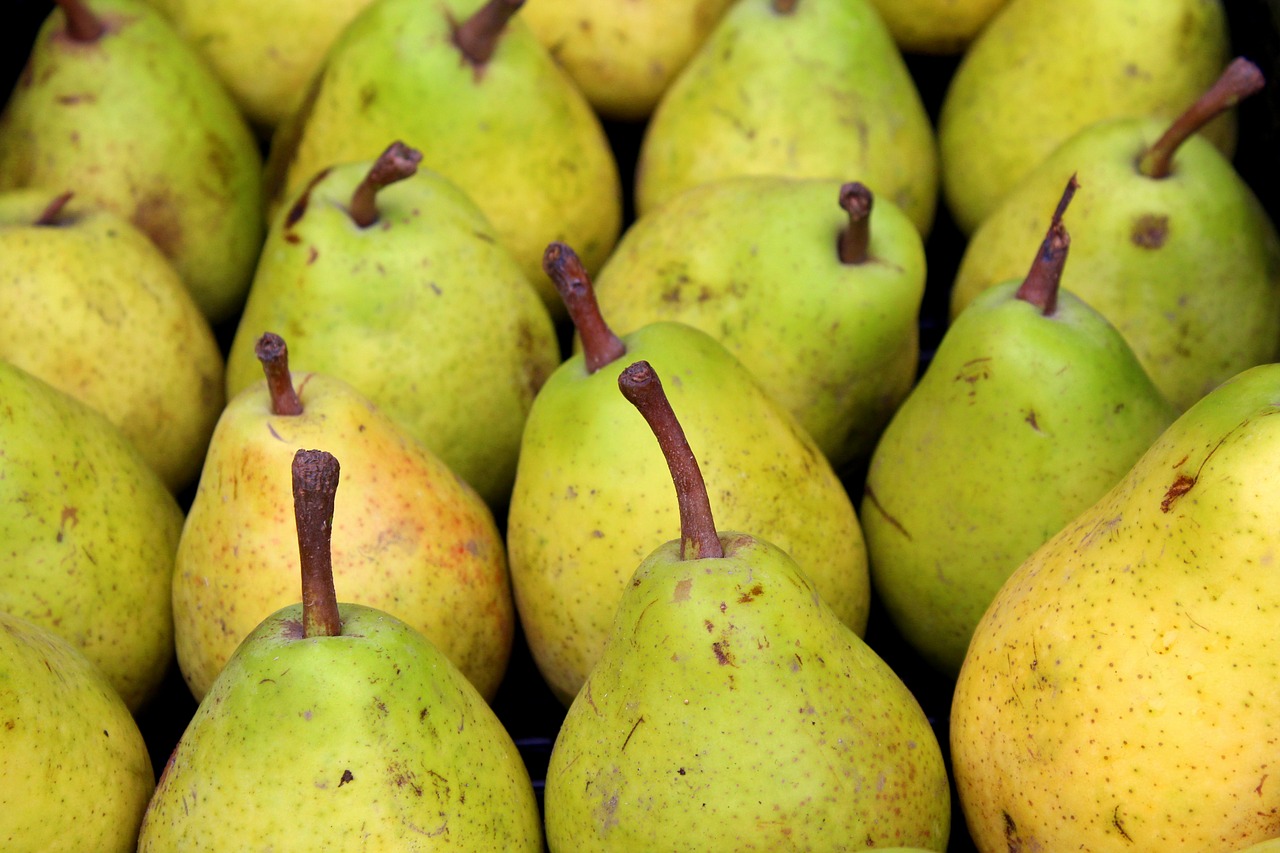 pears  fruit  autumn free photo