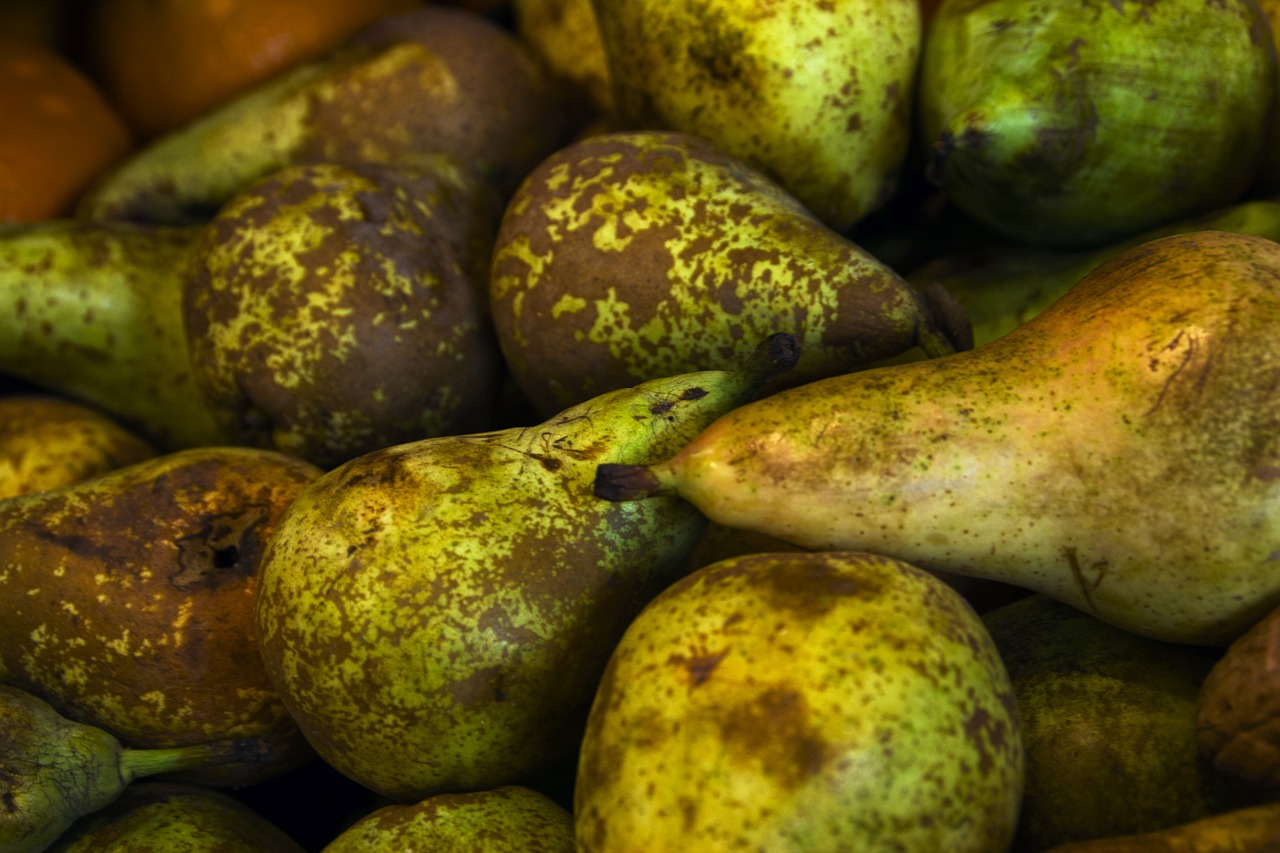 pears  fruit  food free photo