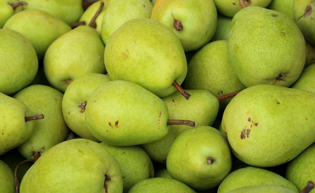pears  pear  fruit free photo