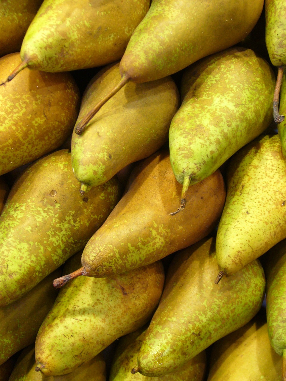 pears fruit green free photo
