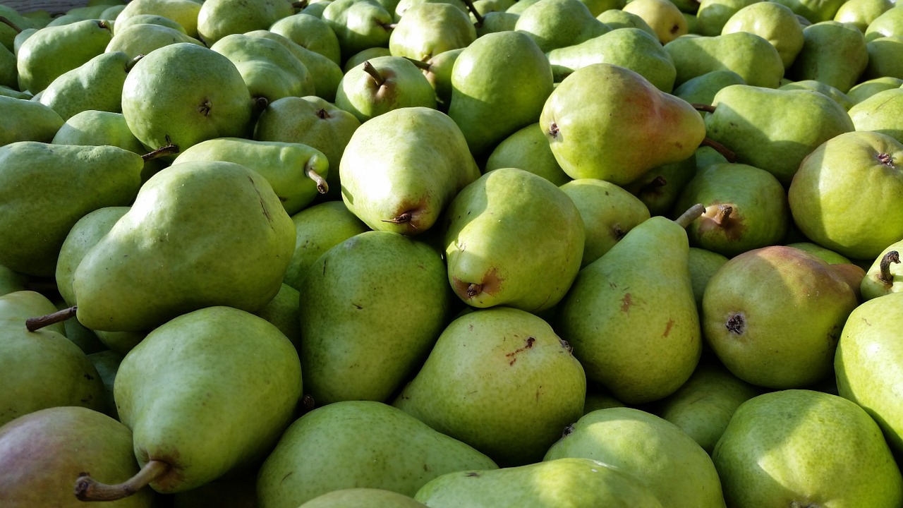 pears bartlett pear bartlett free photo