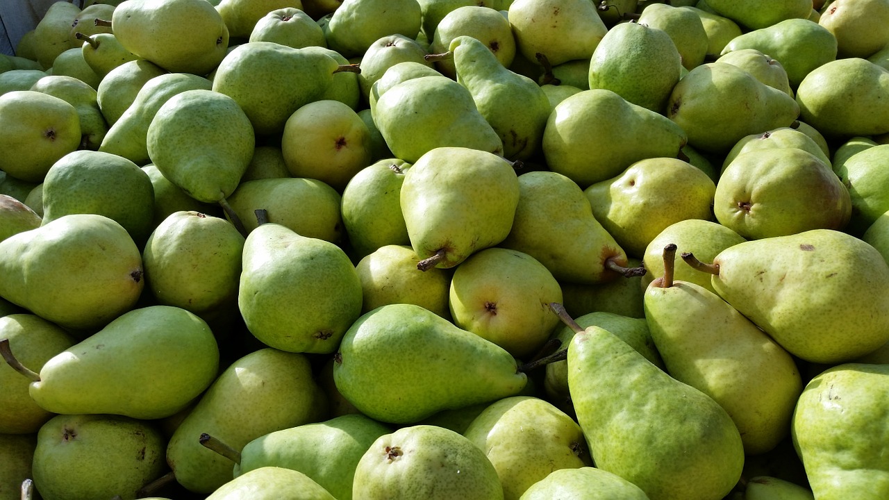 pears bartlett pear bartlett free photo