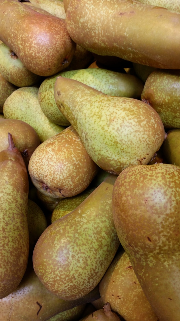 pears fruit fruits free photo