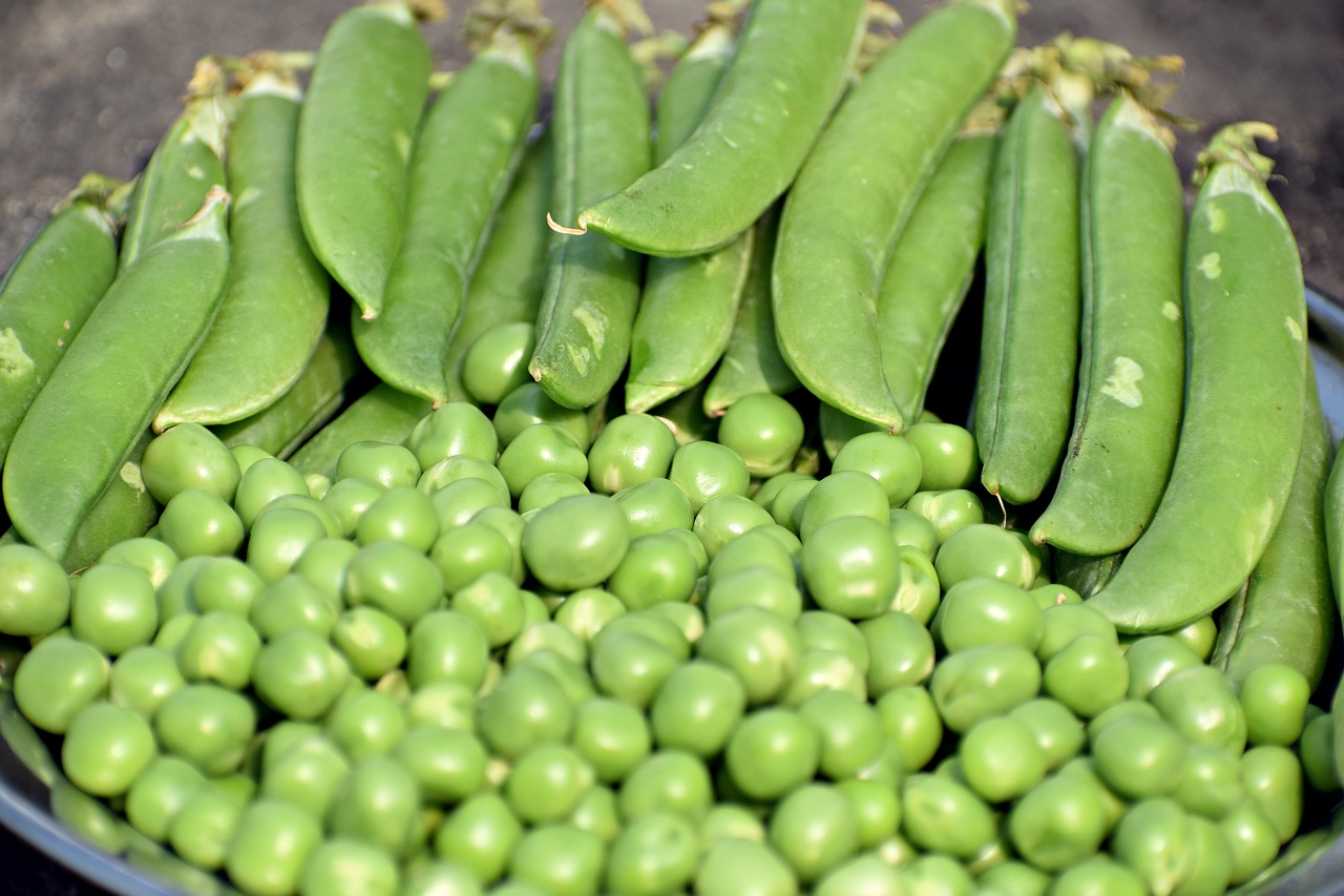 peas  green  vegetable free photo