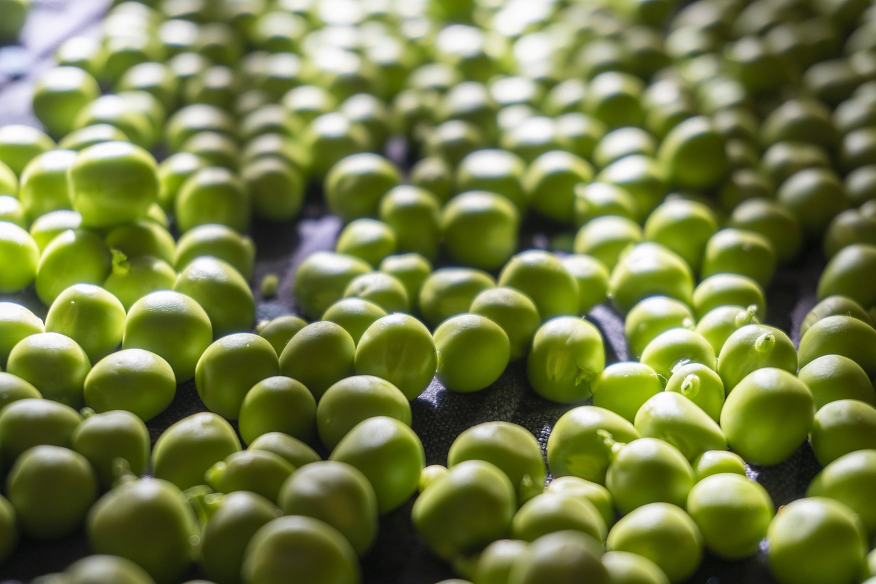 peas  green  nutrition free photo
