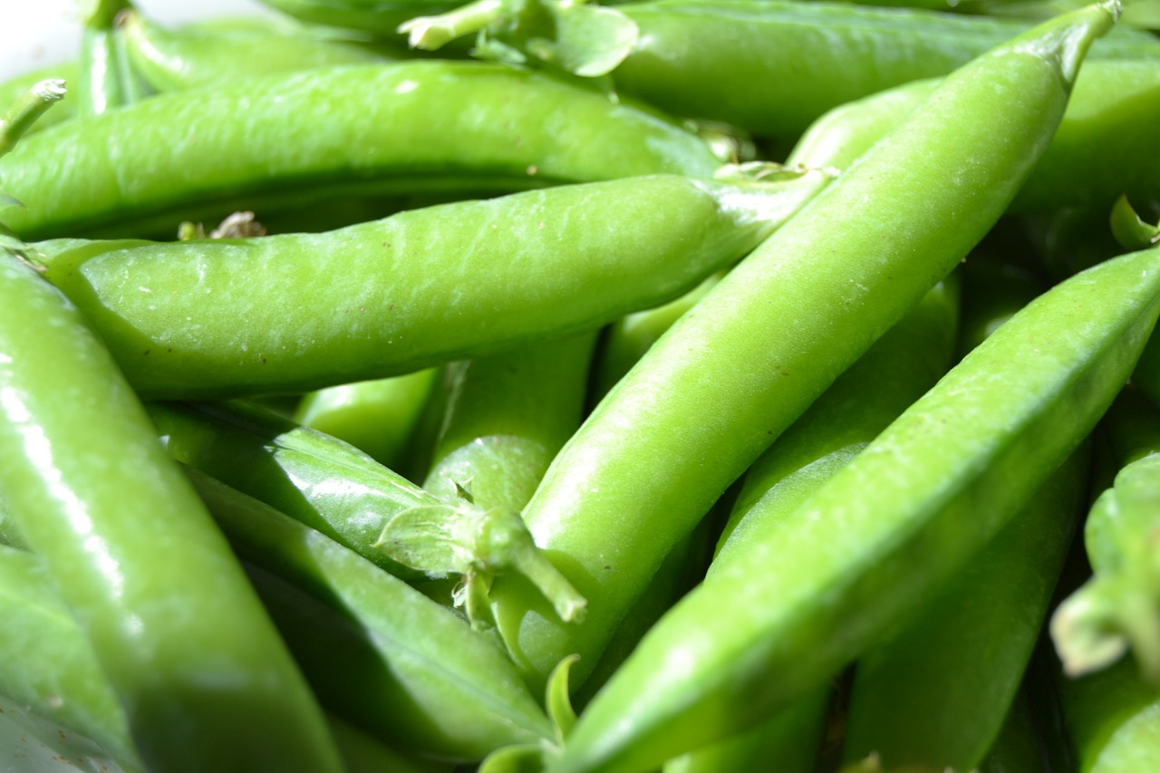 peas autumn harvest pea free photo