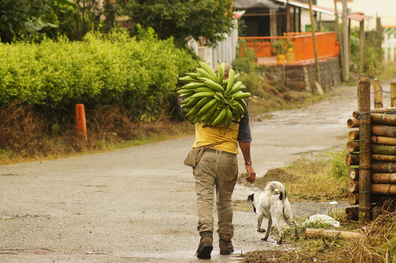 peasants finlandia quindio free photo