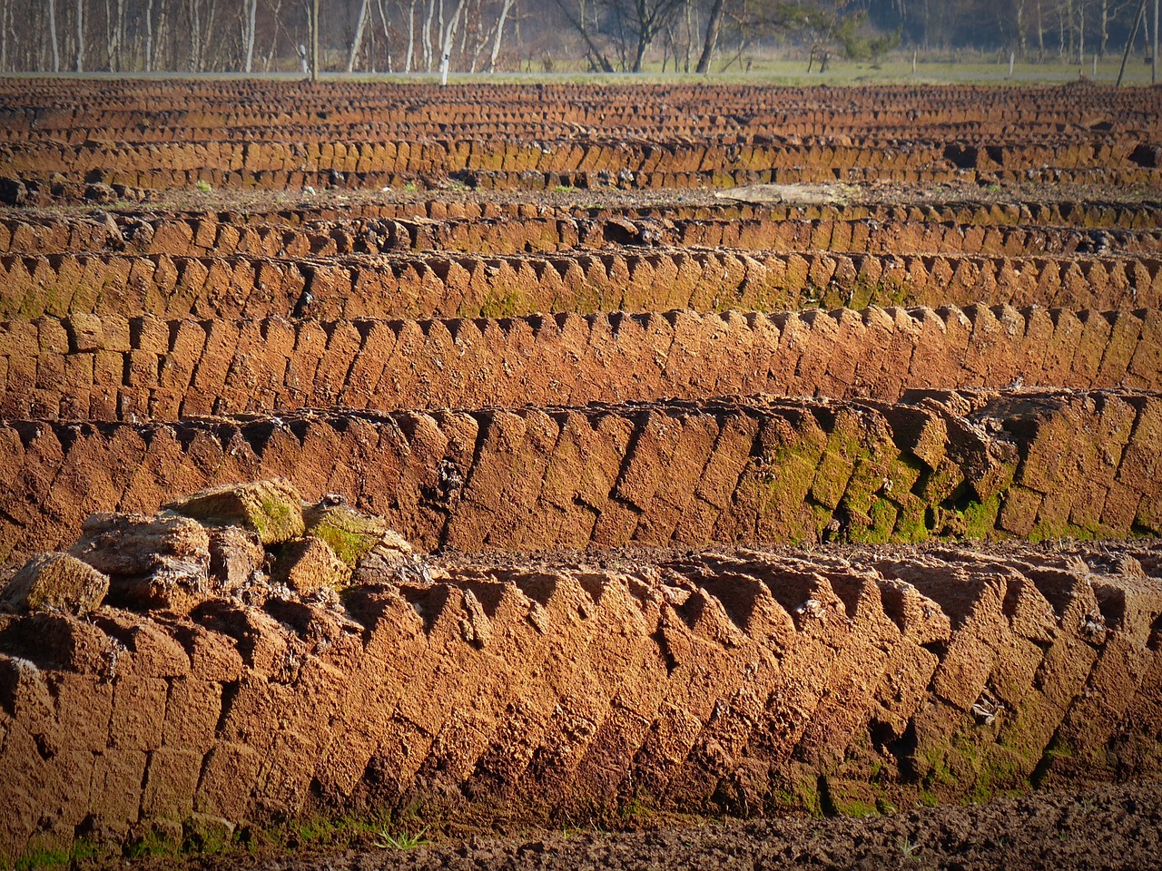 peat potting soil free pictures free photo