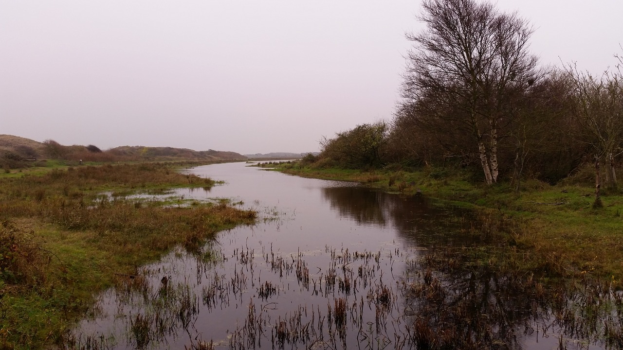peat waterpolo landscape free photo