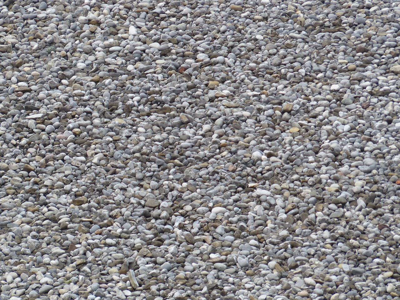 pebble stones grey free photo