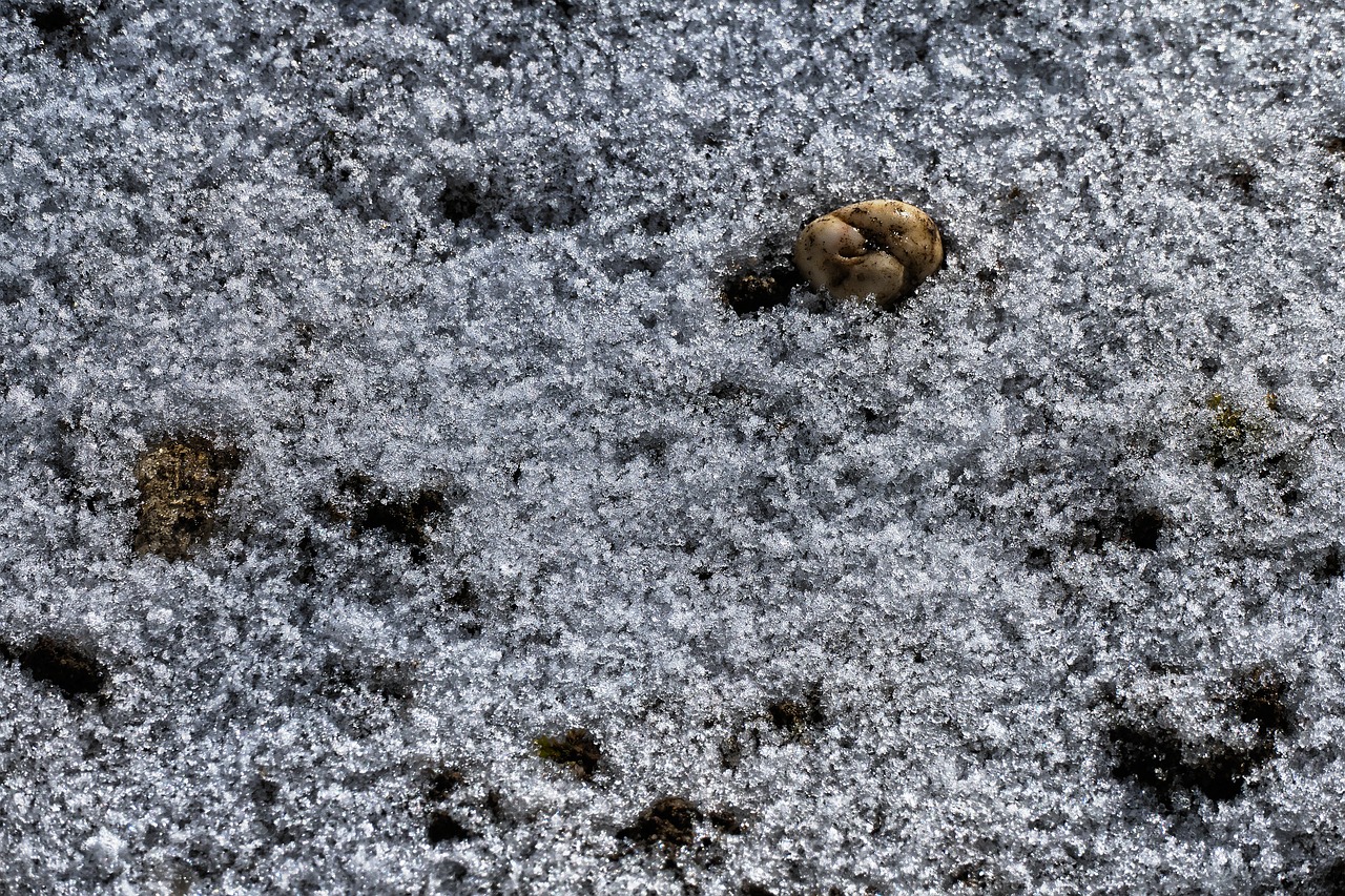 pebble snow thaw free photo