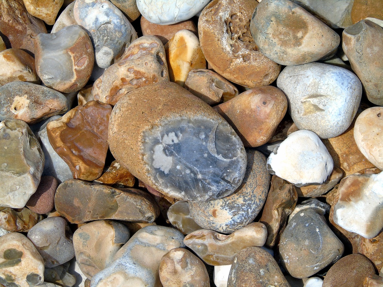 pebble  beach  jurassic free photo