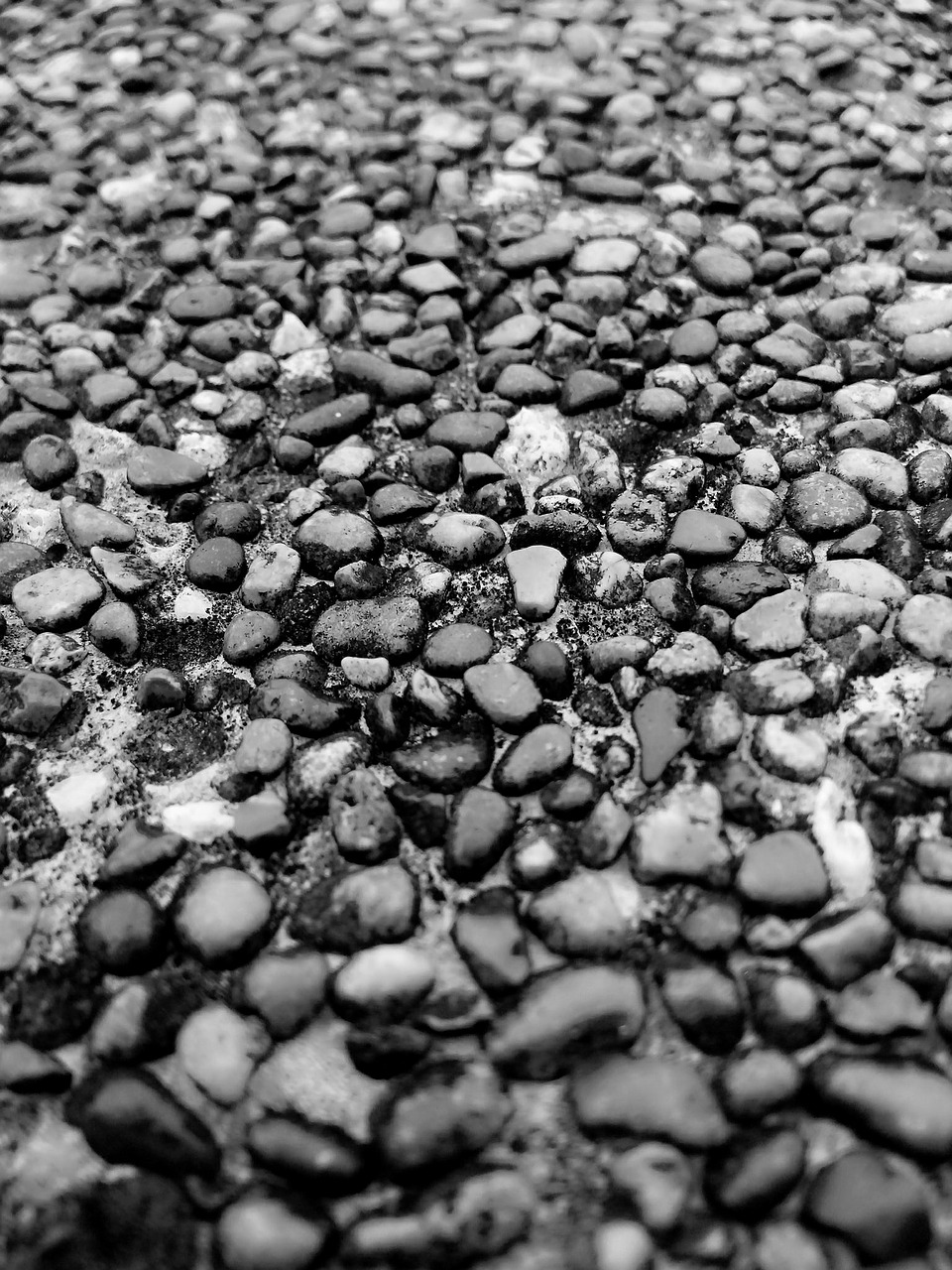 pebble stone simplicity free photo