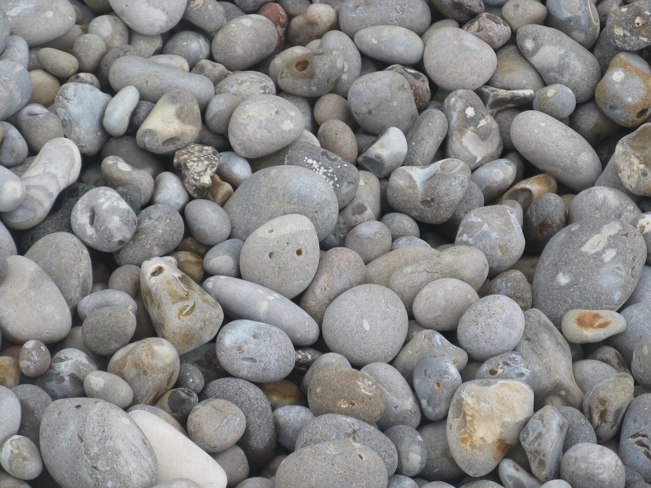 pebble pebbles beach free photo