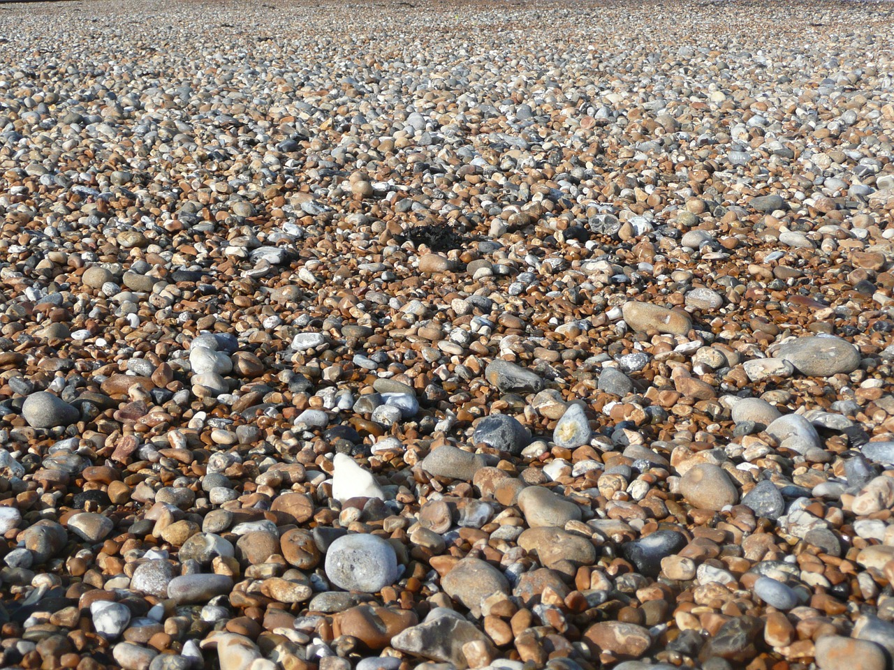 pebble beach kingsdown england free photo
