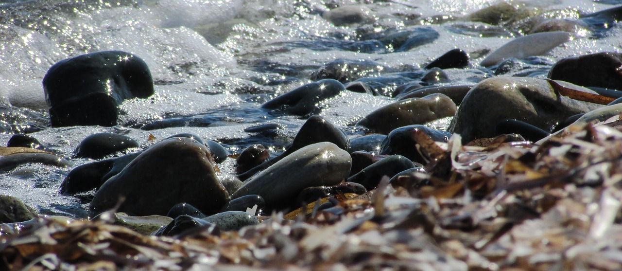 pebble beach stones wave free photo