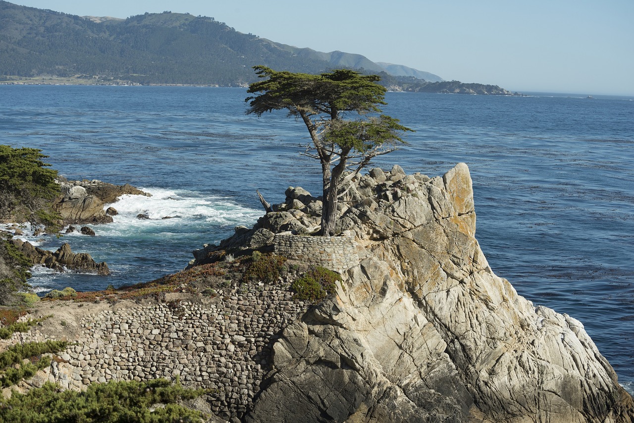 pebble beach shoreline california free photo