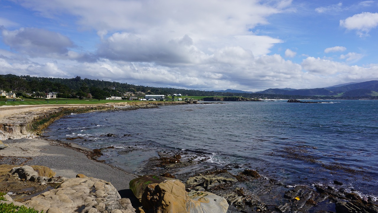 pebble beach  california  cypress free photo