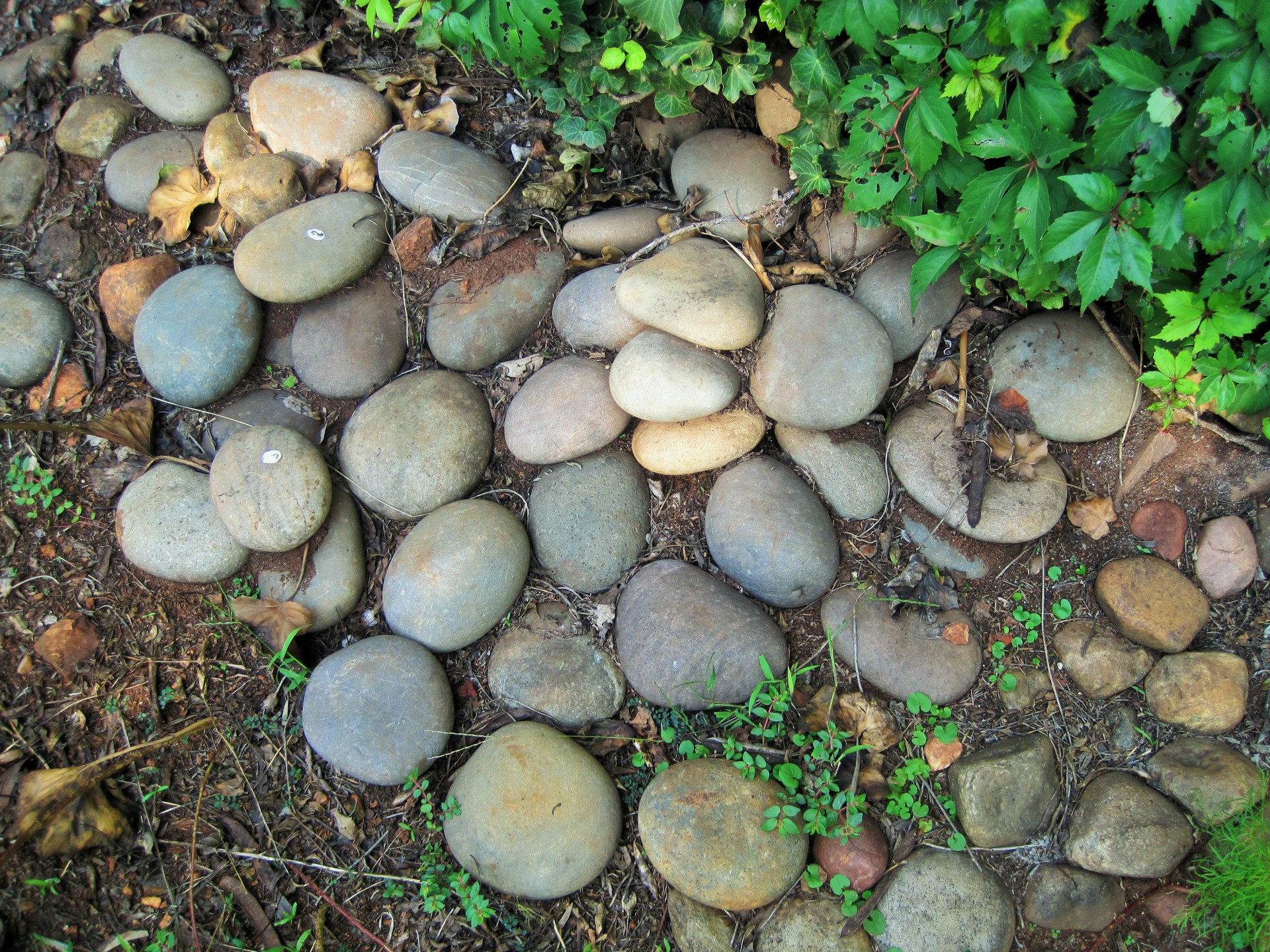 garden pebbles stones free photo
