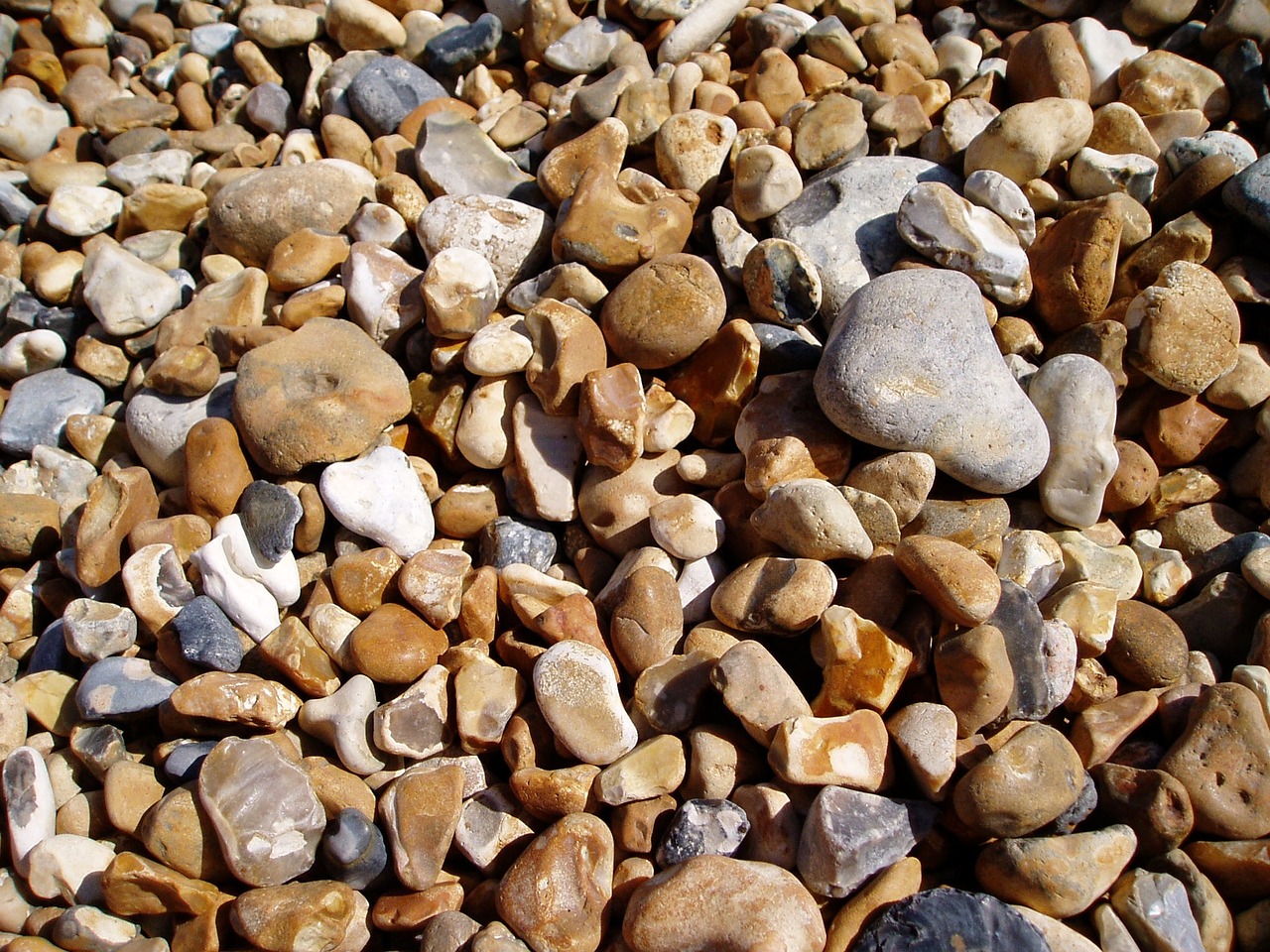 pebbles beach nature free photo