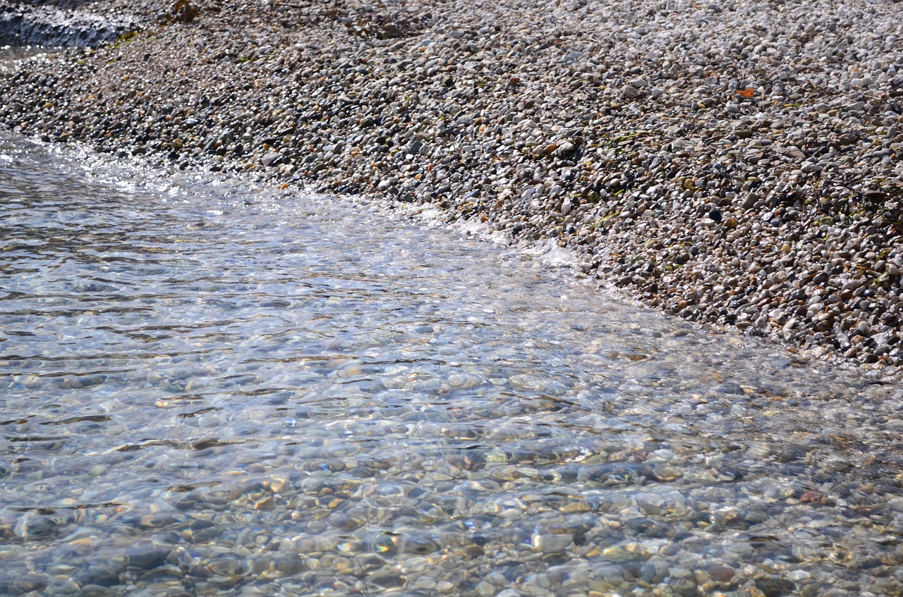 stones beach water free photo