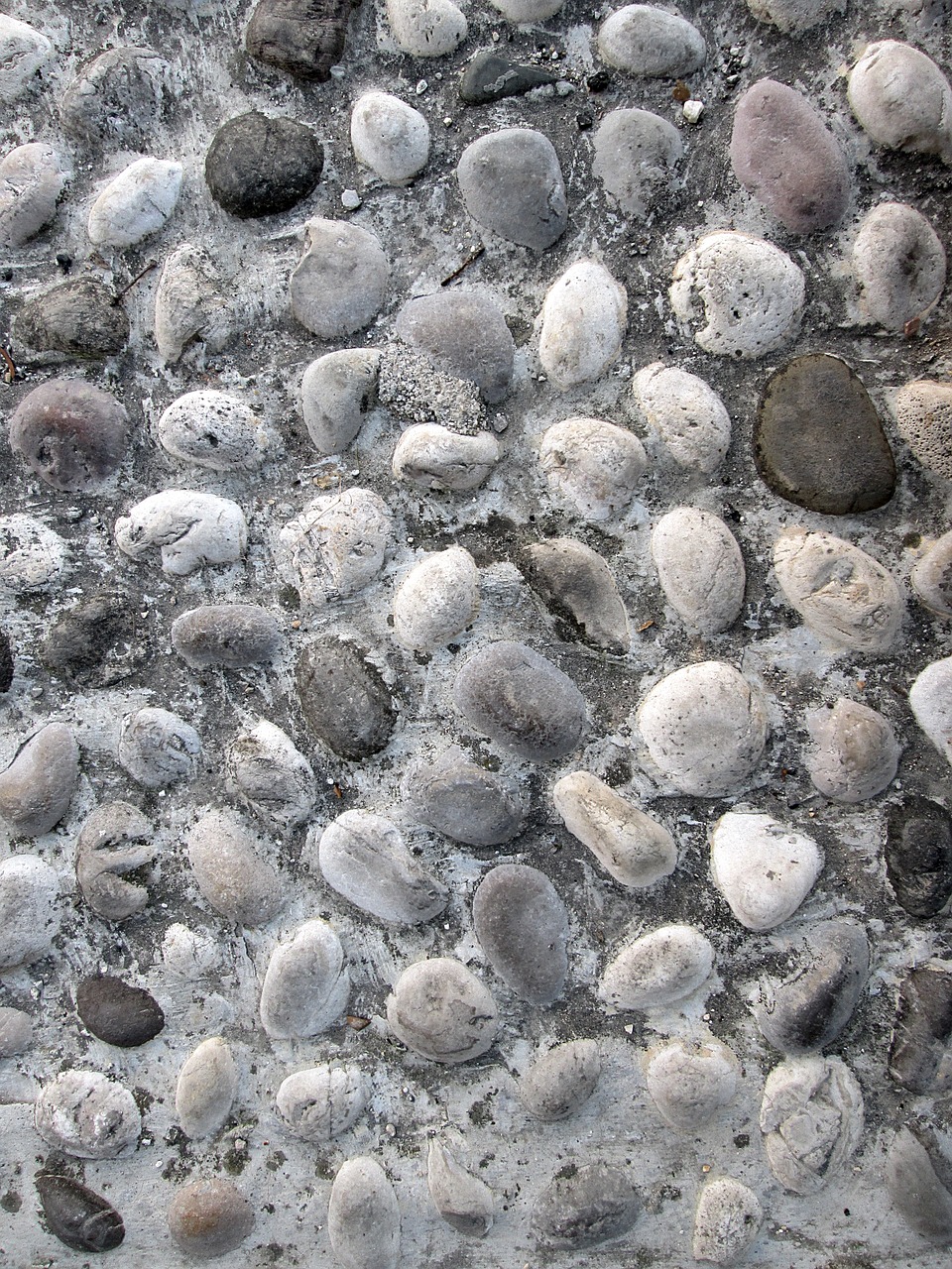 pebbles background texture free photo