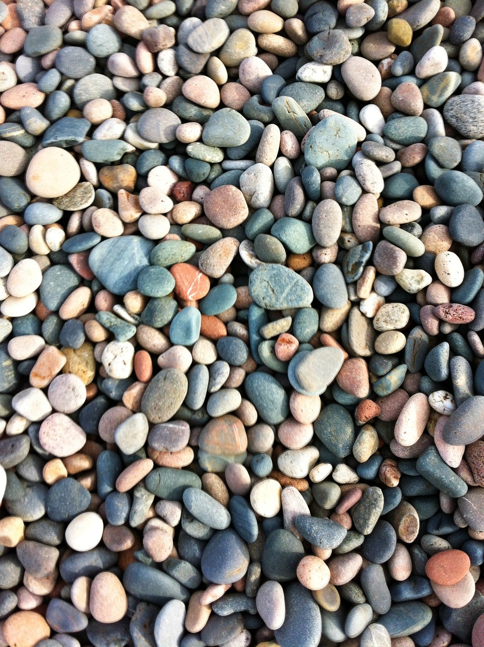 pebbles beach seaside free photo