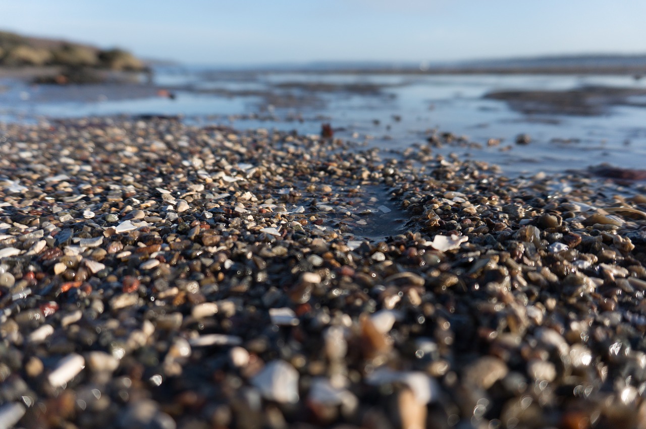 pebbles sea shore free photo