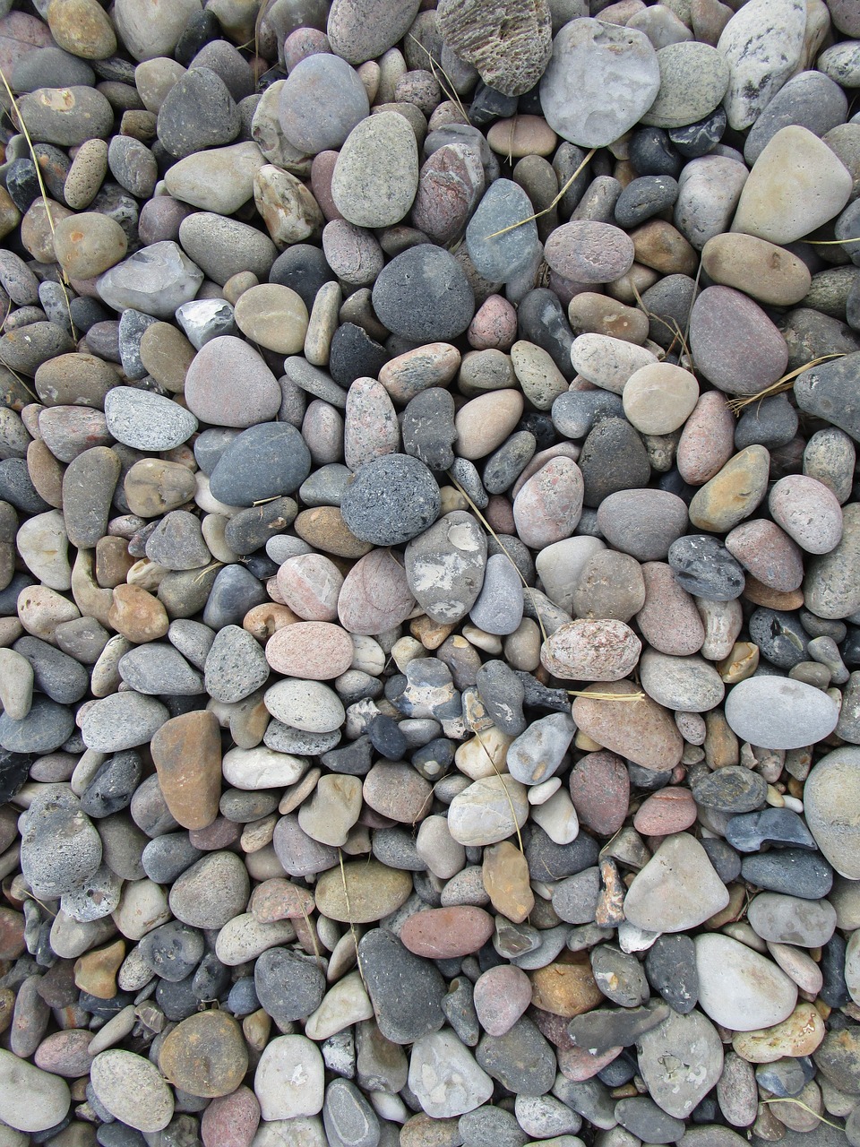 pebbles stone coastline free photo