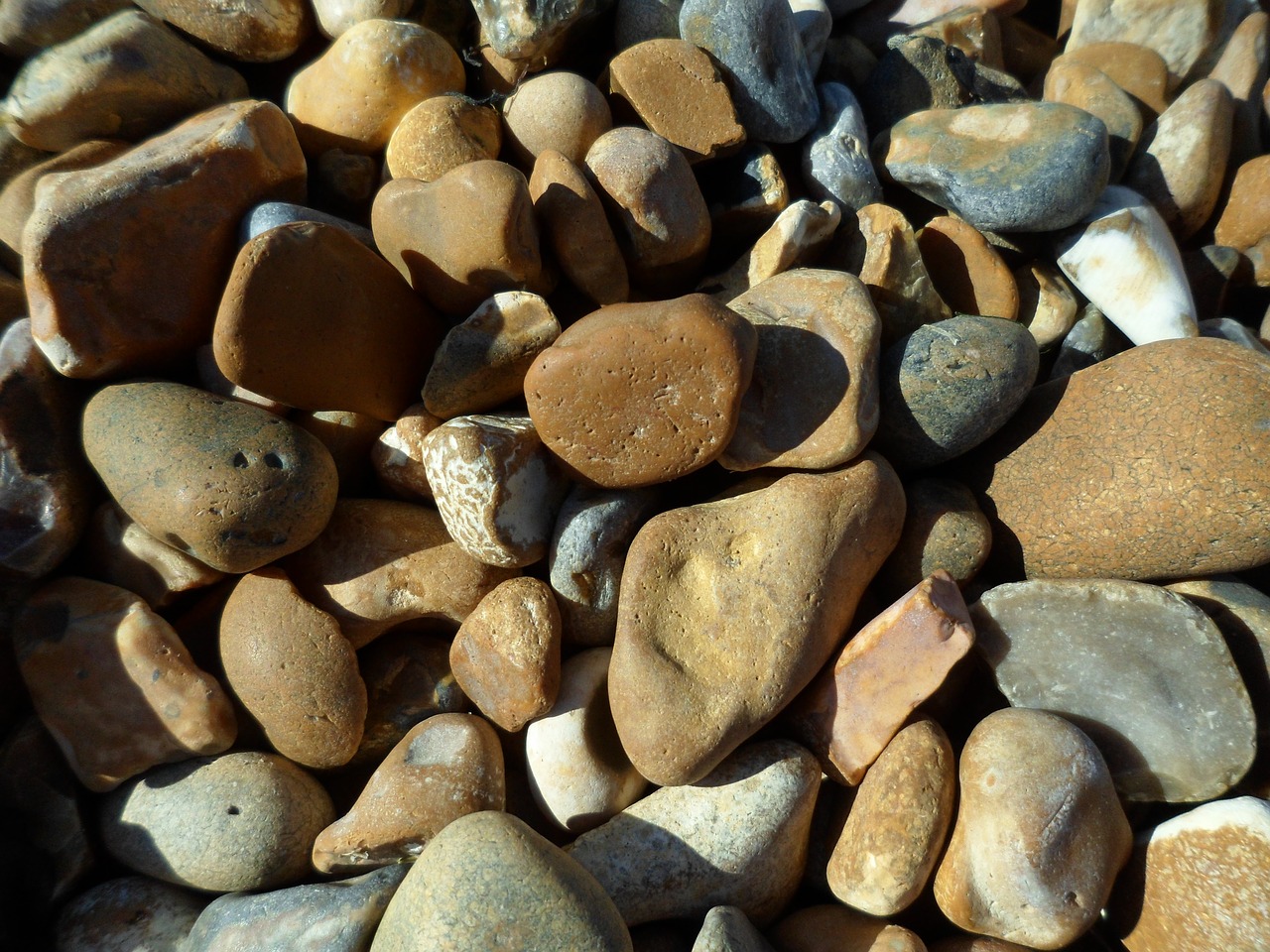 pebbles sea beach free photo