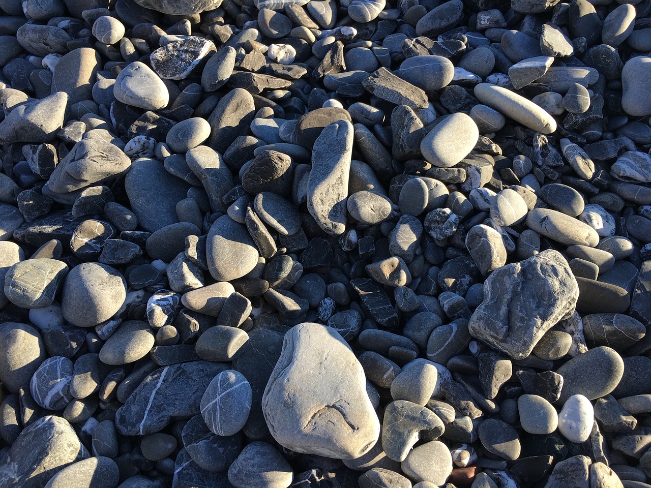 pebbles beach sea free photo