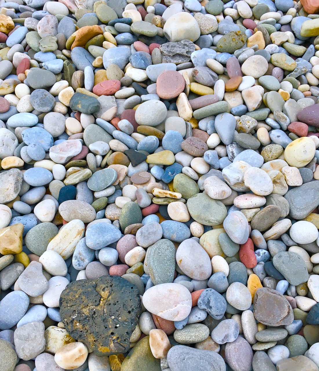 pebbles seashore rocks free photo