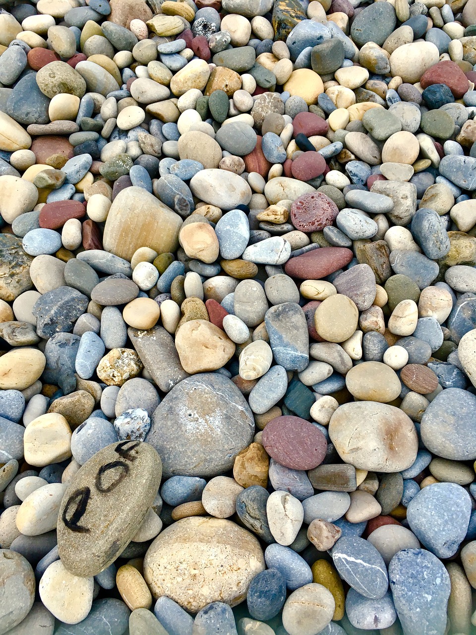 pebbles pebble beach free photo