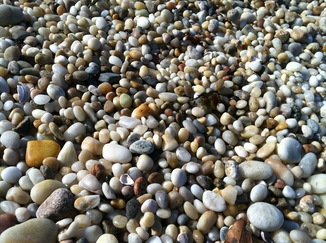 pebbles rocks beach free photo