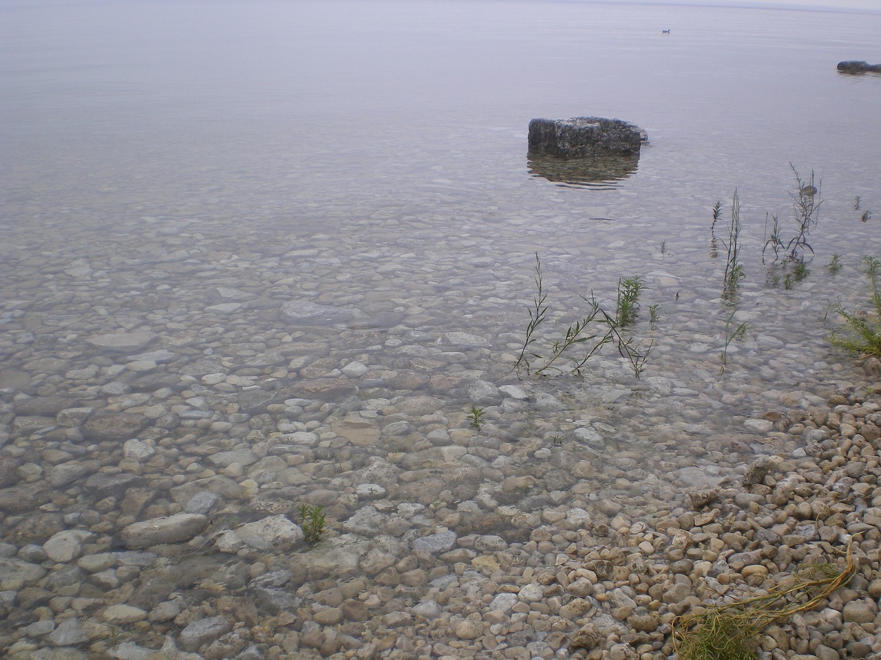 pebbles stones water free photo