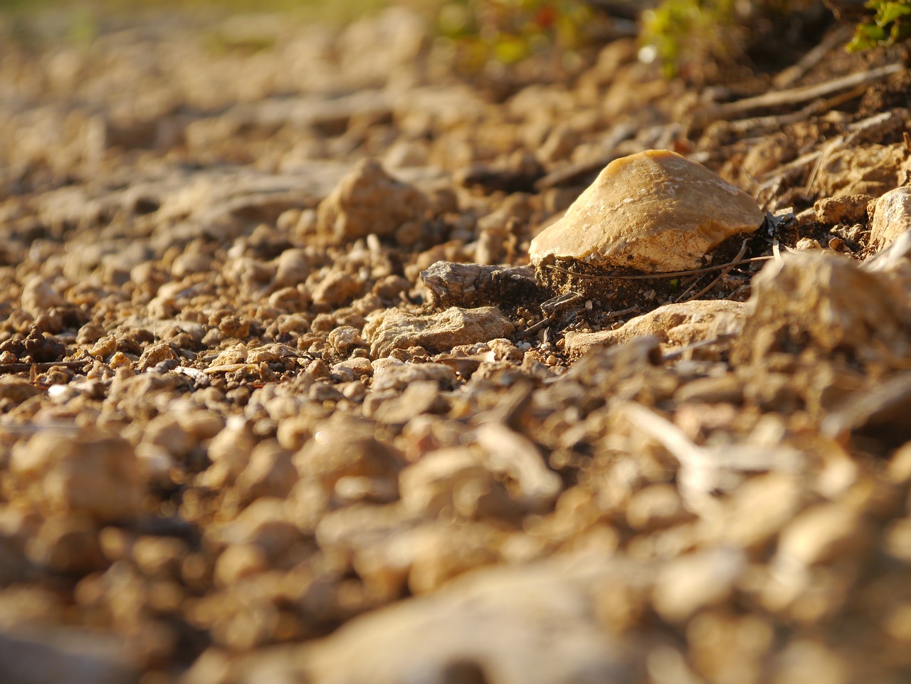 pebbles stones focus free photo