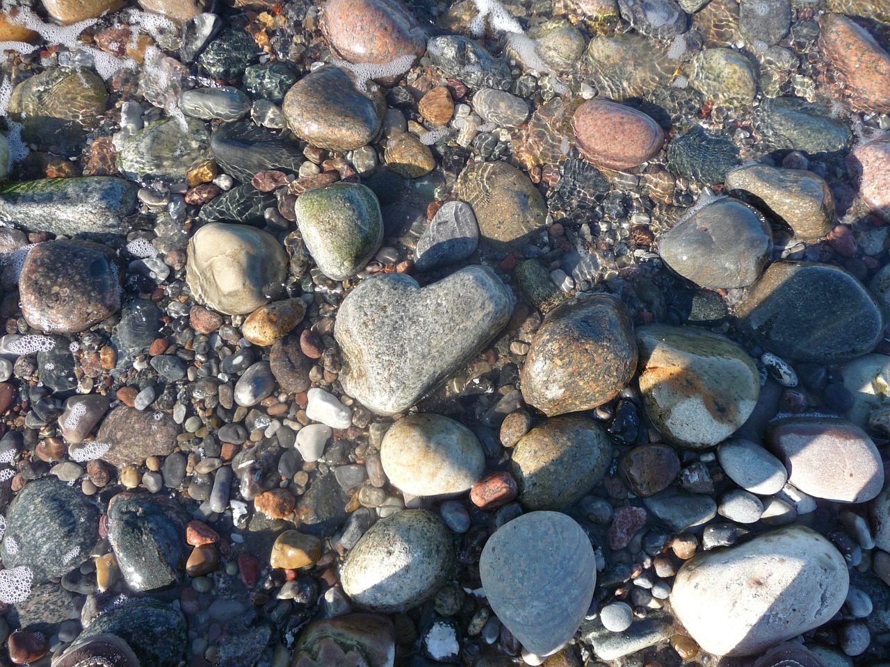 pebbles heart stone baltic sea free photo