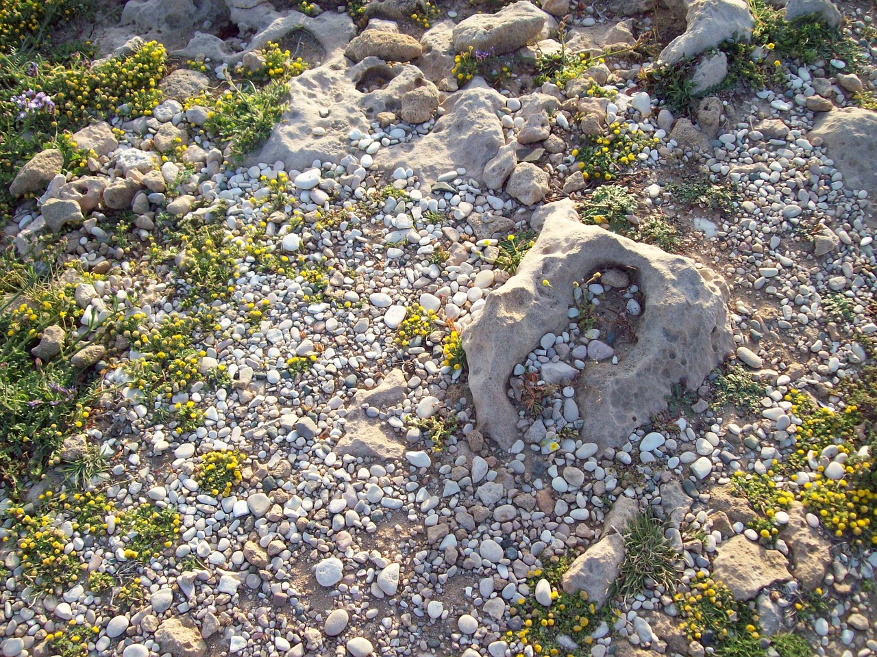 pebbles rocks stones free photo