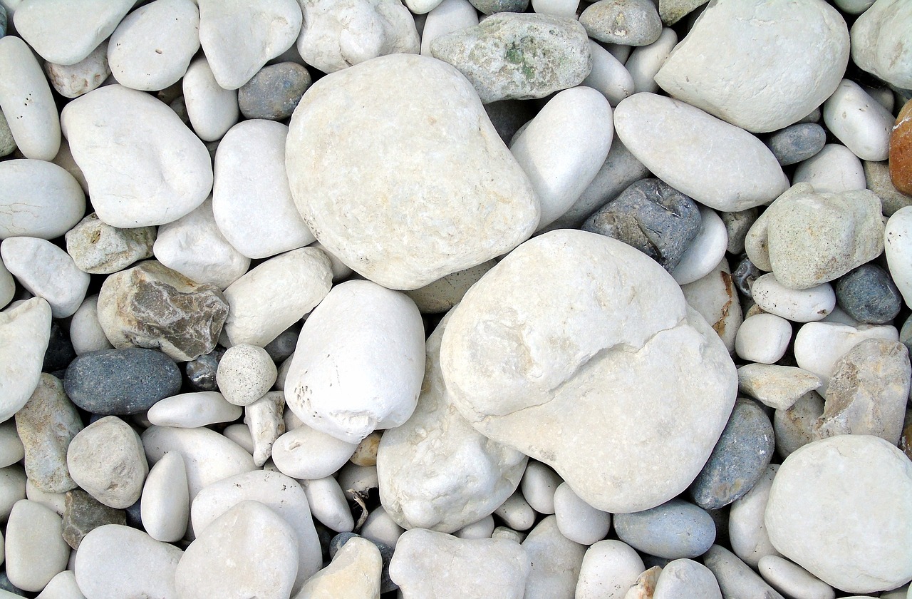 pebbles  shore  beach free photo