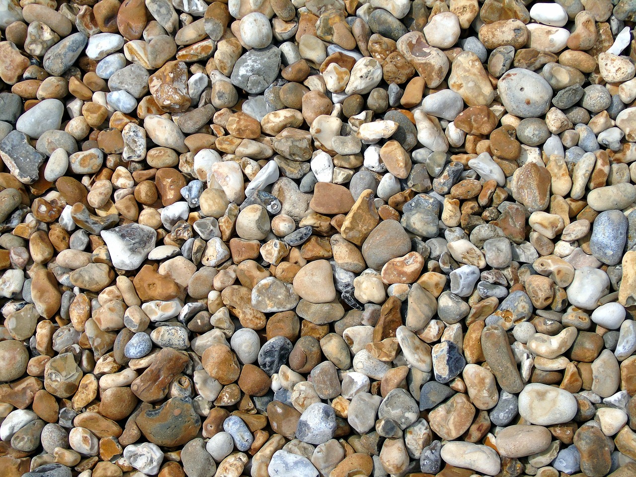 pebbles  seashore  beach free photo