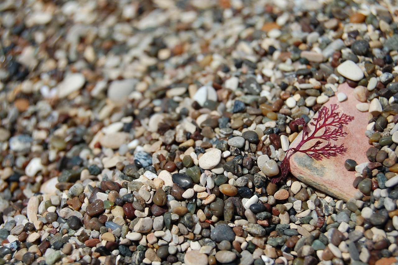 pebbles rocks beach free photo