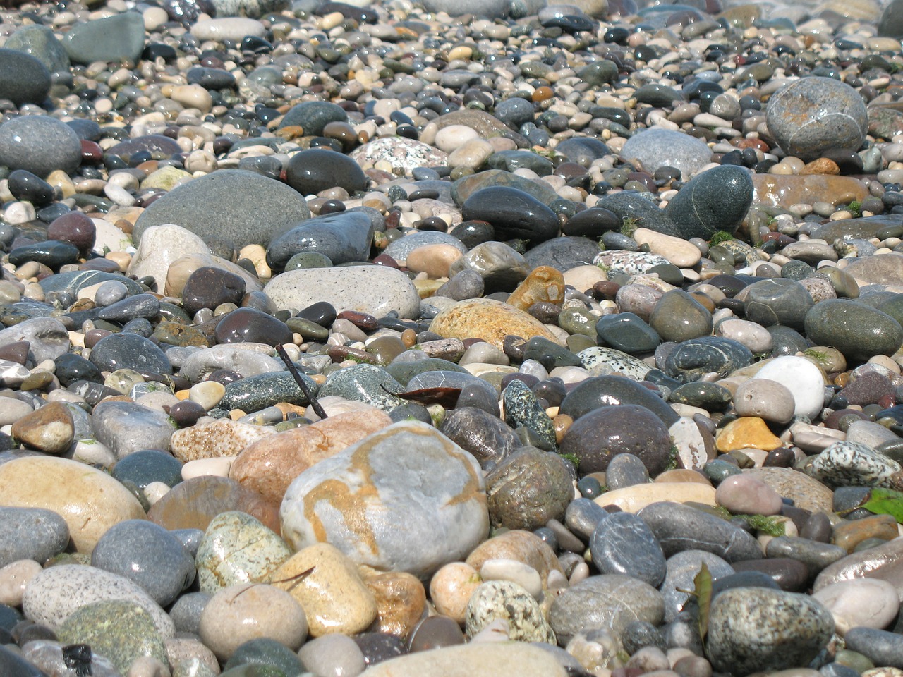 pebbles sand sea side free photo