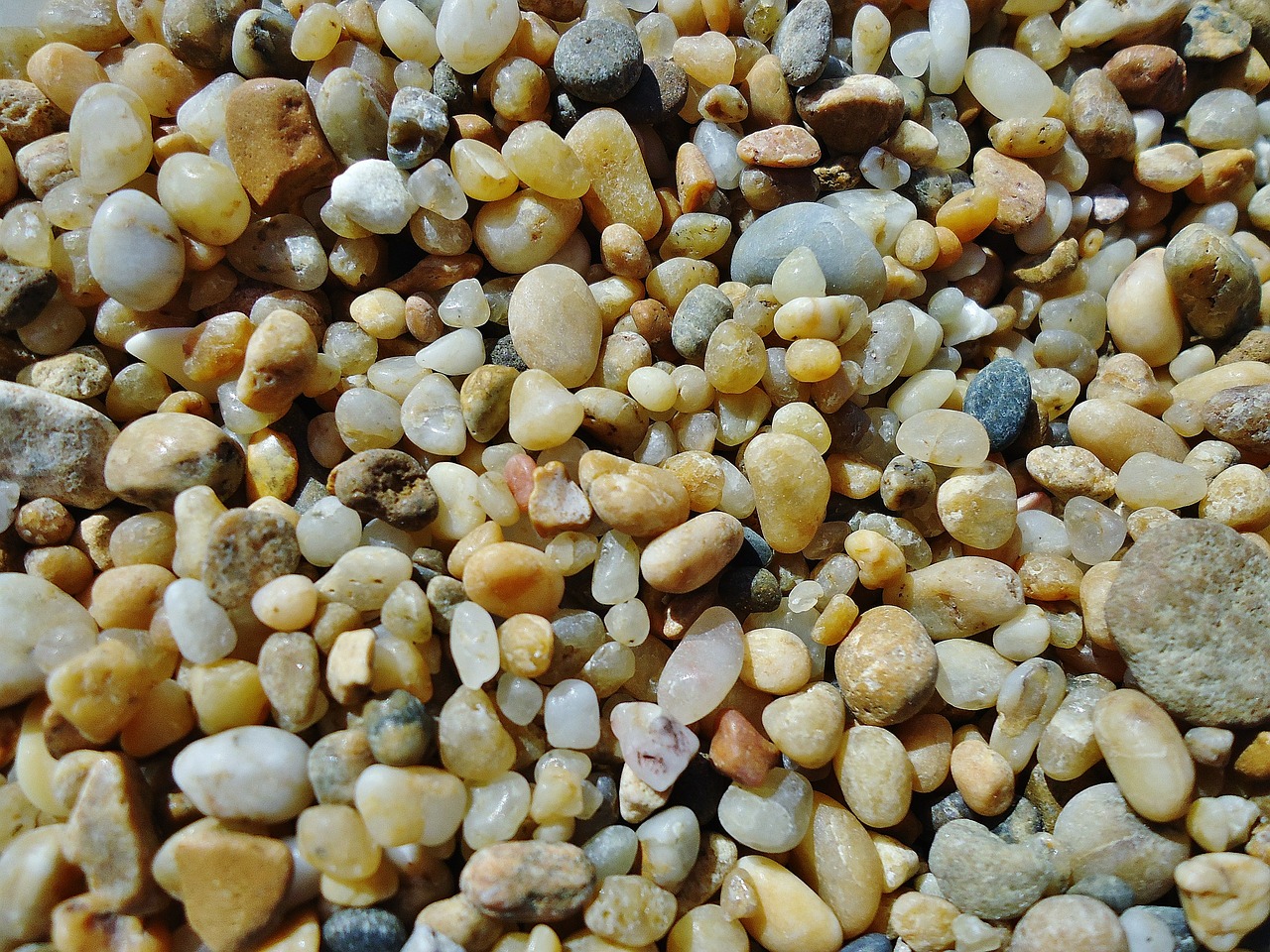 pebbles beach ocean free photo