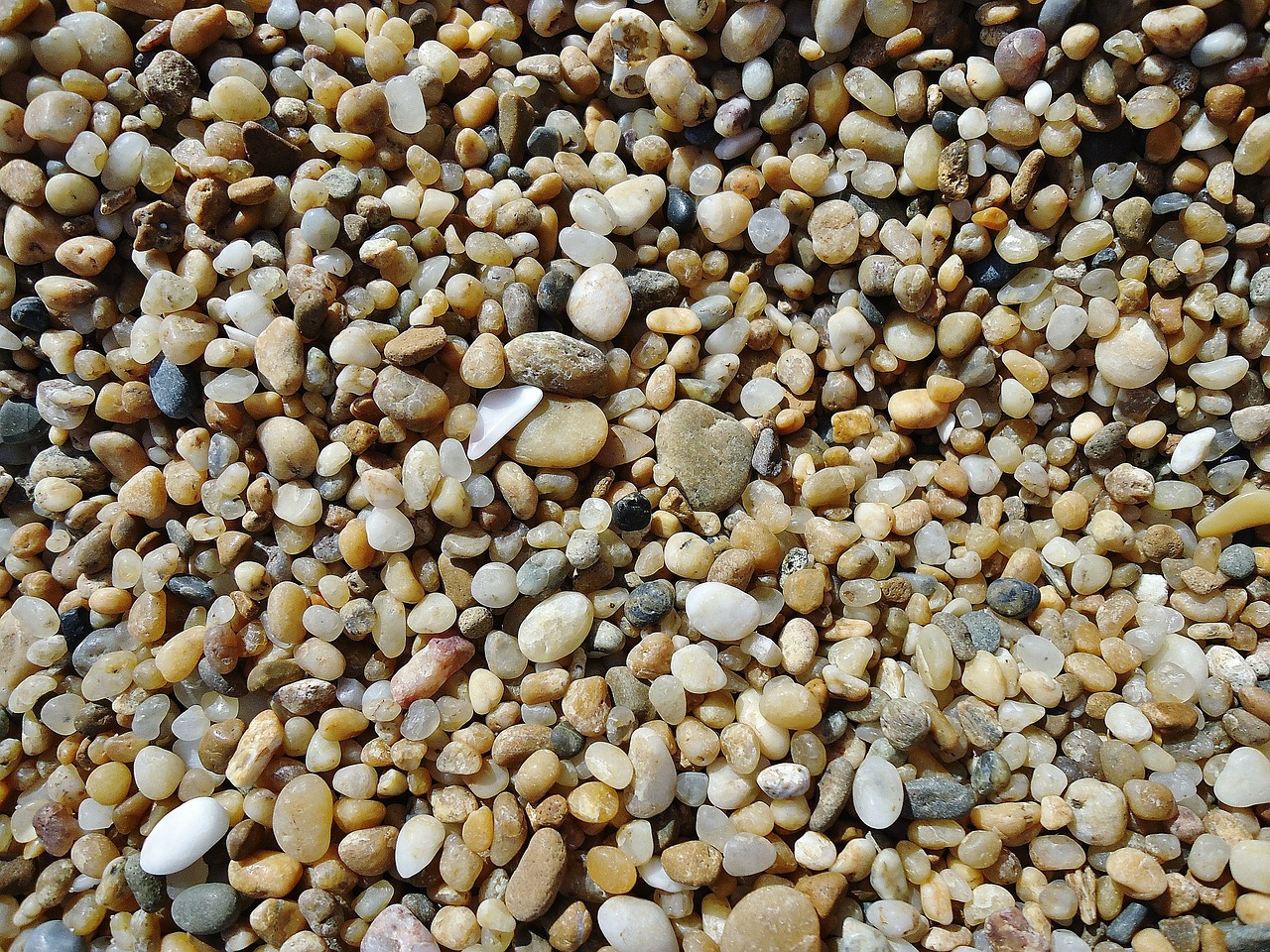 pebbles beach ocean free photo