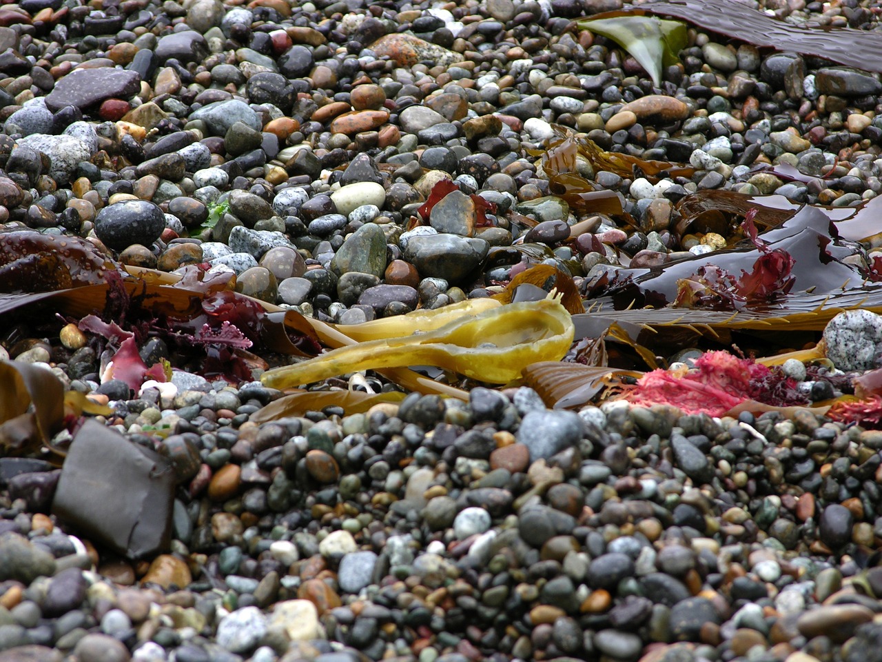 pebbles beach stone free photo